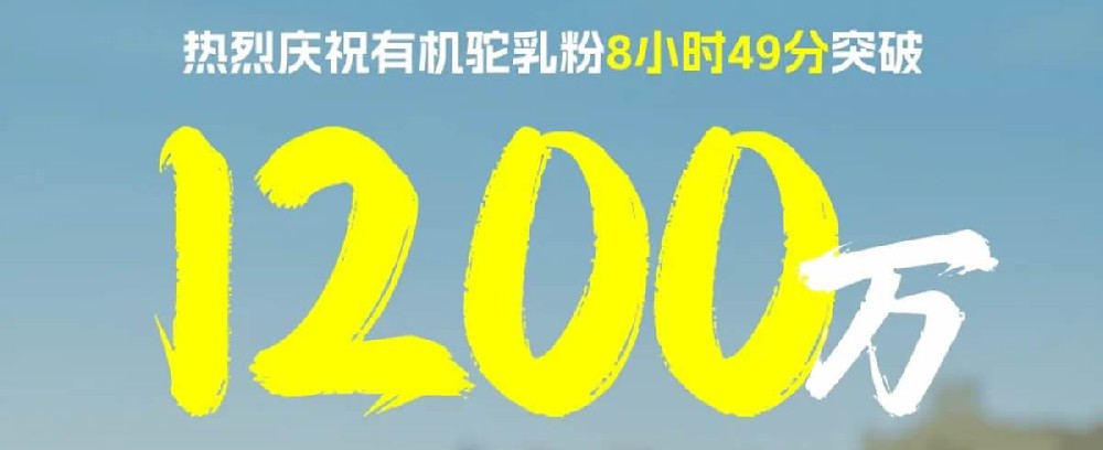 为什么选择新驼 - 第1张 为什么选择新驼 - 第1张