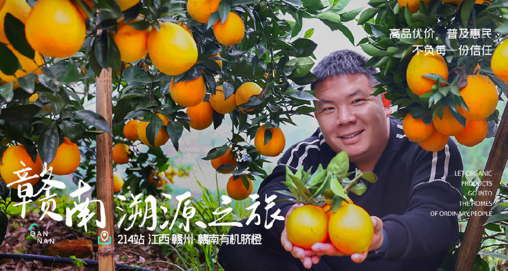 我是你们的生鲜总监伍总监 - 第1张 我是你们的生鲜总监伍总监 - 第1张
