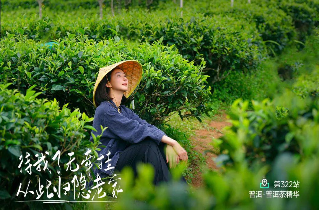 远方好物-新会员的自我修炼.jpg