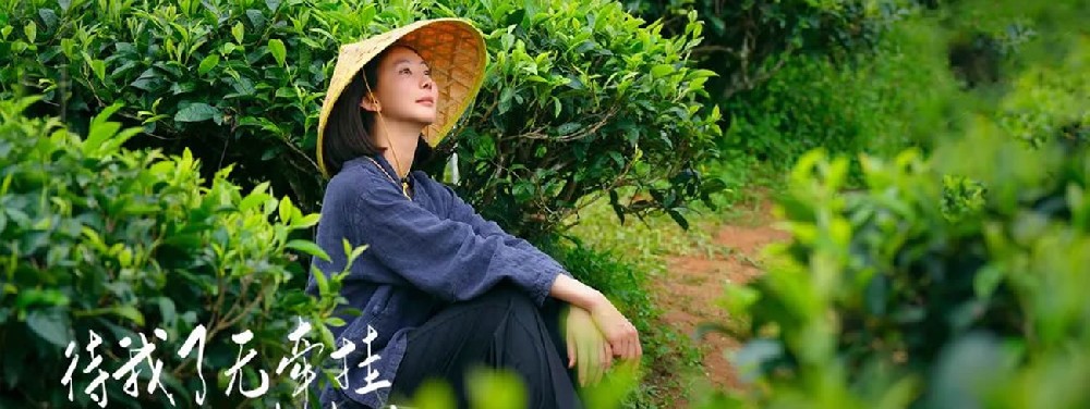 新会员的自我修炼 - 第1张