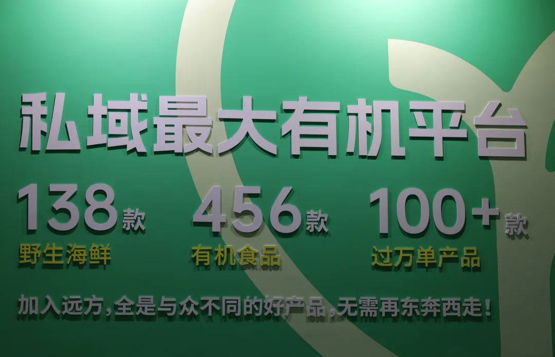 写在有机展前 - 第5张 写在有机展前 - 第5张
