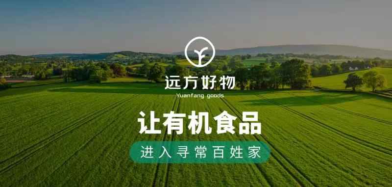 电商谁来教我 - 第1张 电商谁来教我 - 第1张