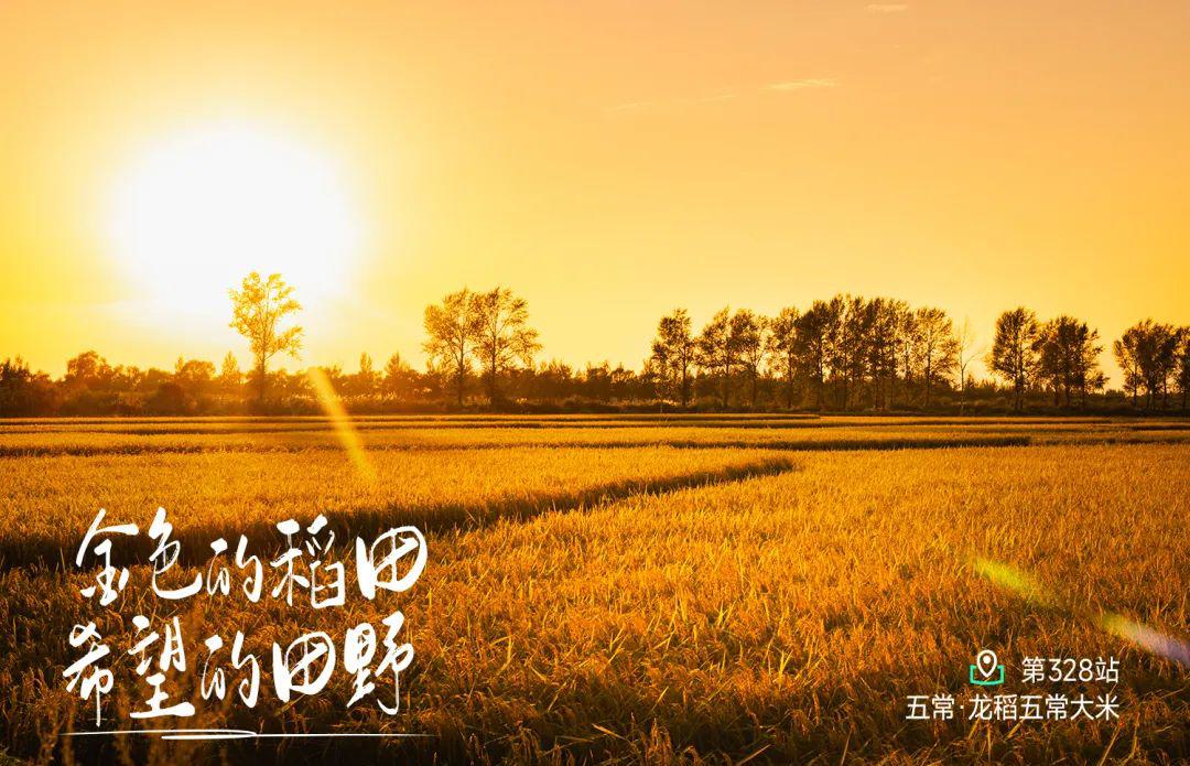 远方好物-东北回顾(上).jpg