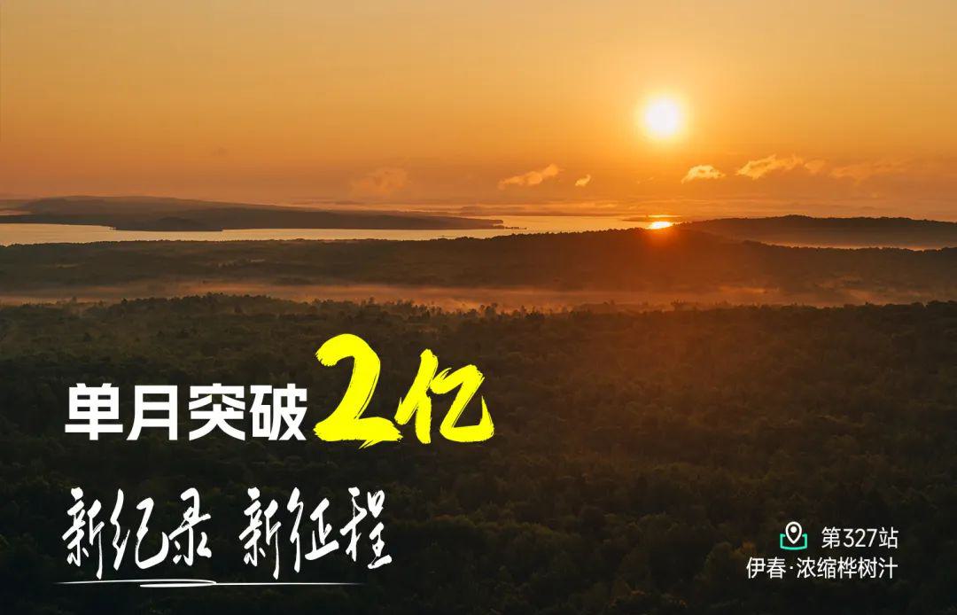 远方好物-白桦树的前世今生.jpg