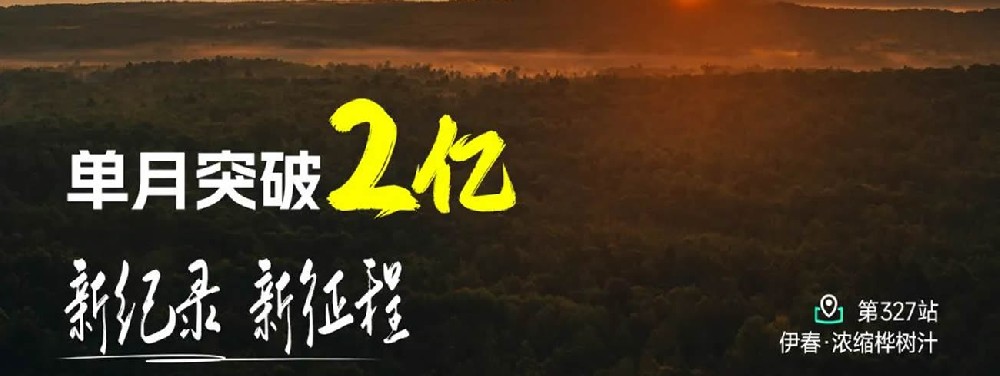 白桦树的前世今生 - 第1张 白桦树的前世今生 - 第1张