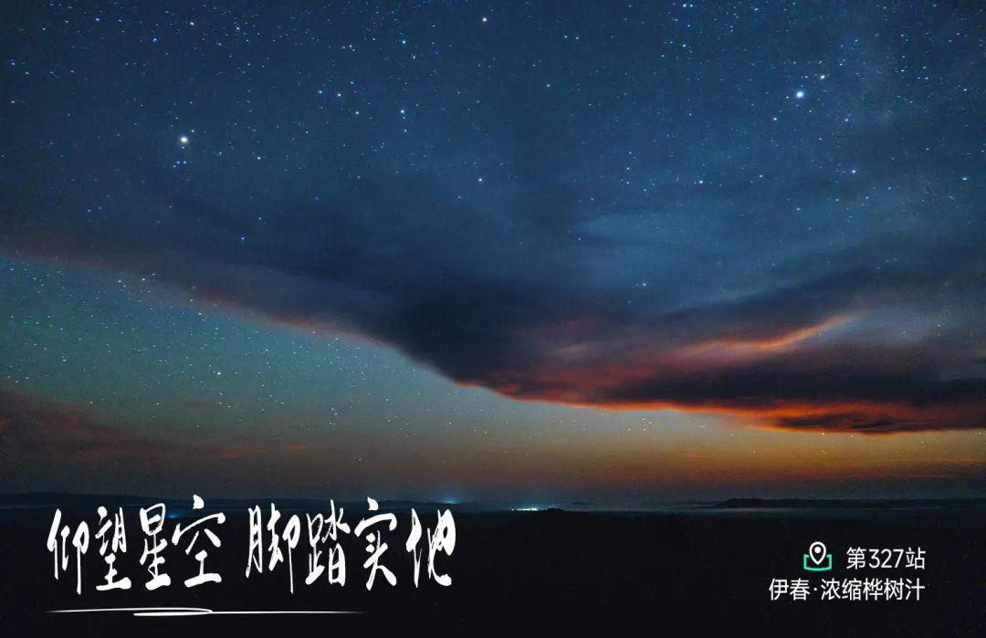 远方好物-白桦林的浪漫.jpg