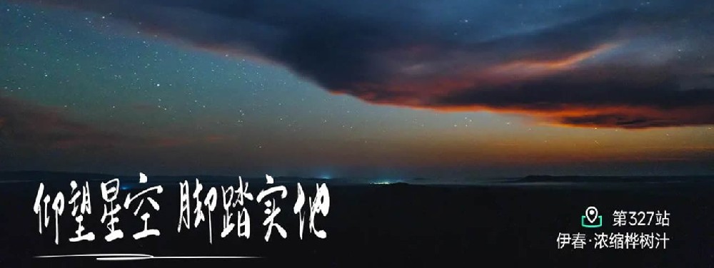 白桦林的浪漫 - 第1张 白桦林的浪漫 - 第1张