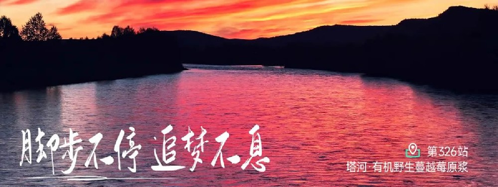大兴安岭原始森林 - 第1张 大兴安岭原始森林 - 第1张