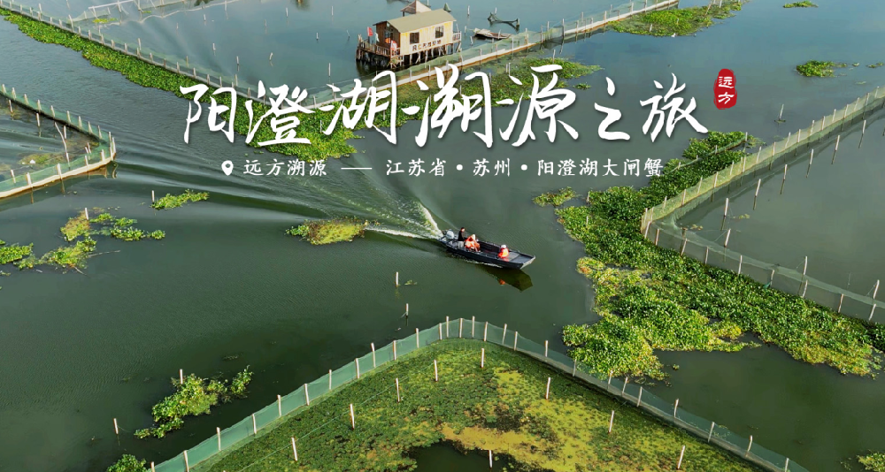 阳澄湖蟹逅大闸蟹 - 第1张 阳澄湖蟹逅大闸蟹 - 第1张