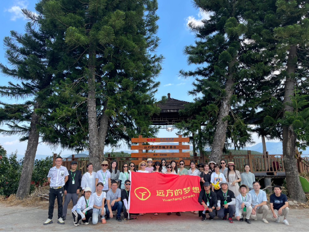 我们是平和唯一还挂在树上的柚子 - 第1张 我们是平和唯一还挂在树上的柚子 - 第1张