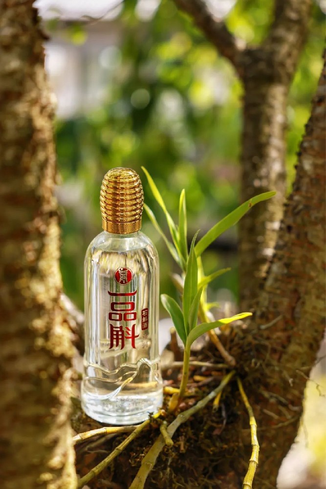 品斛堂之石斛酒(下) - 第1张 品斛堂之石斛酒(下) - 第1张