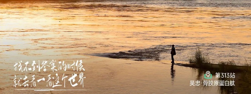 一个人,一件事,一辈子,逯总的骨胶原蛋白肽之路 - 第1张 一个人,一件事,一辈子,逯总的骨胶原蛋白肽之路 - 第1张