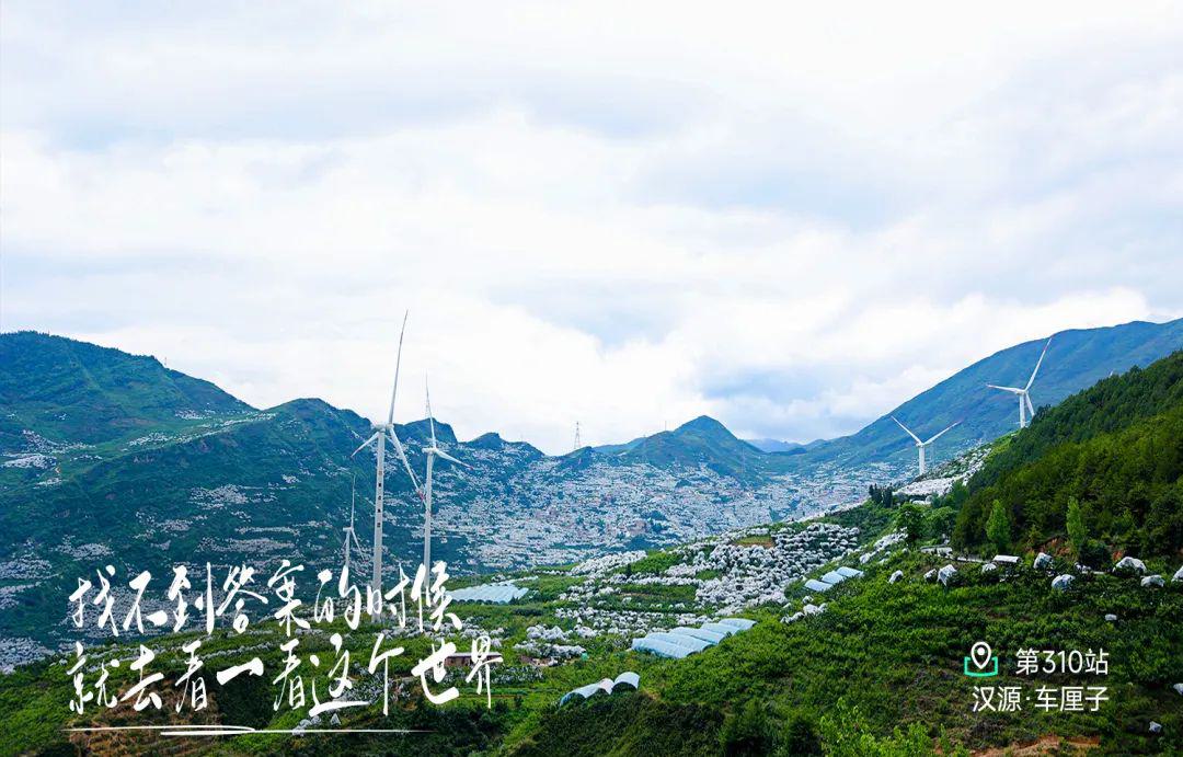 远方好物-今天你青汁了吗.jpg
