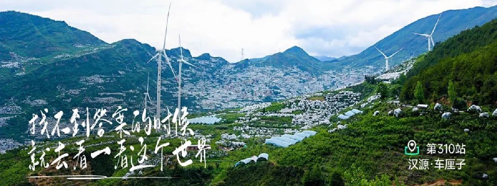 今天你青汁了吗 - 第1张 今天你青汁了吗 - 第1张