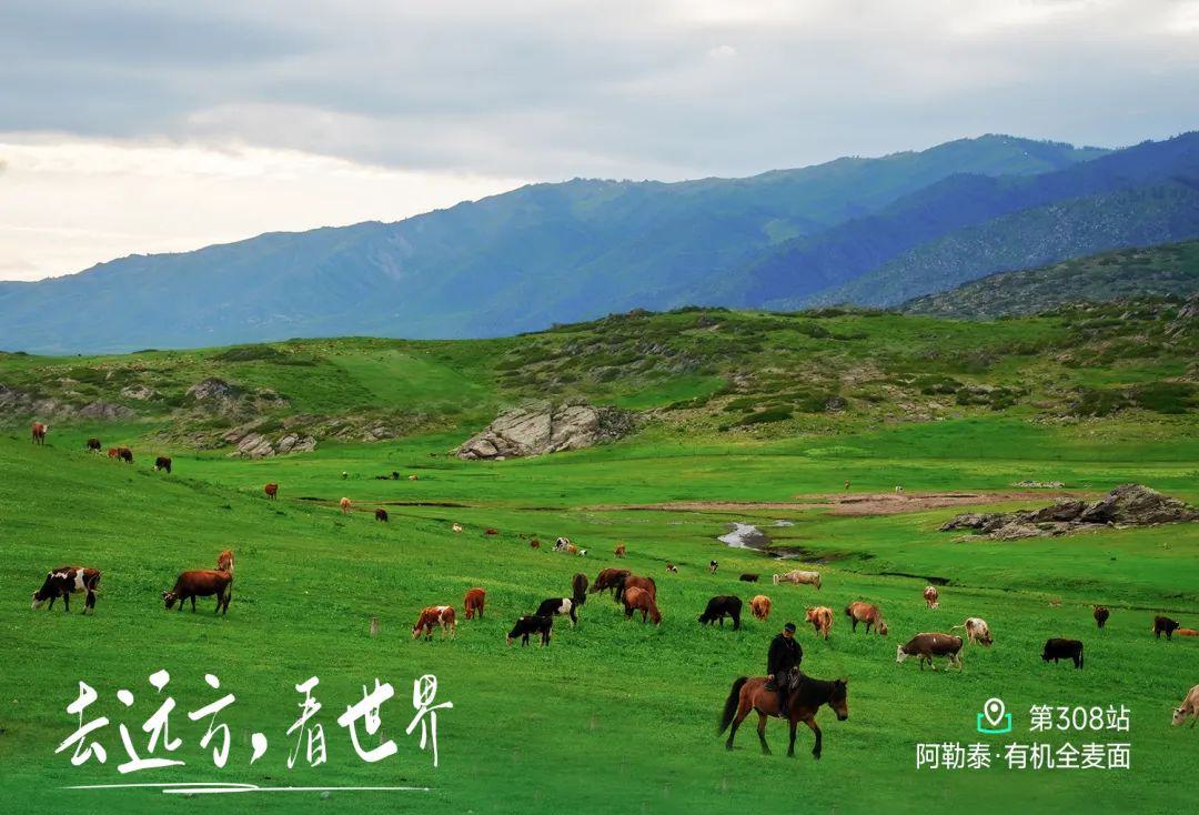 远方好物-走进禾木.jpg