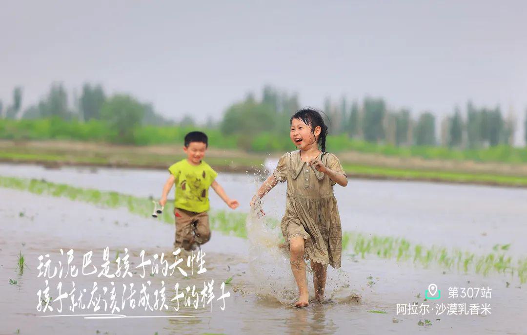远方好物-阿拉尔,沙漠乳香米.jpg