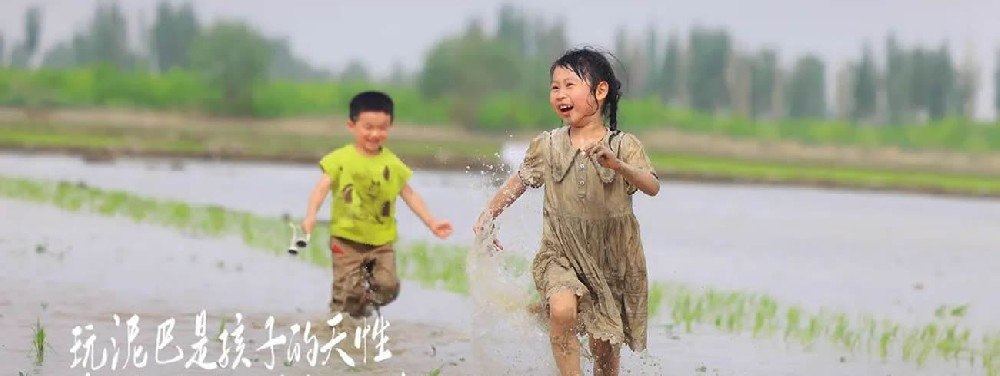 阿拉尔,沙漠乳香米 - 第1张 阿拉尔,沙漠乳香米 - 第1张
