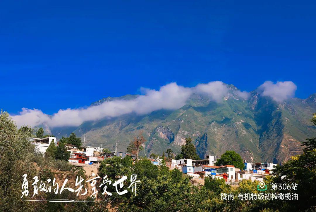 远方好物-再探祥宇,陇南的橄榄油.jpg