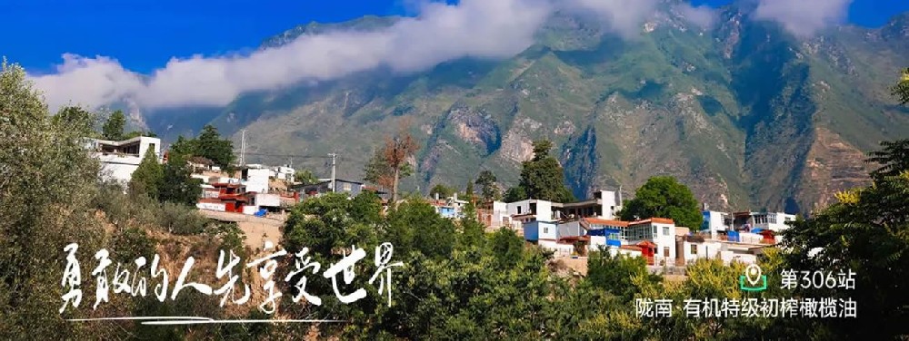 再探祥宇,陇南的橄榄油 - 第1张 再探祥宇,陇南的橄榄油 - 第1张