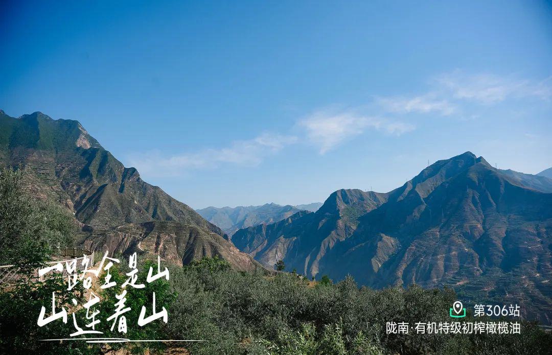 远方好物-又到陇南.jpg