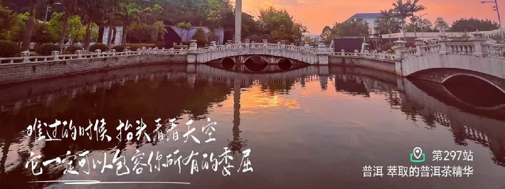 溯源普洱 - 第1张 溯源普洱 - 第1张