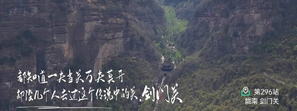 陇南橄榄油之行 - 第1张 陇南橄榄油之行 - 第1张