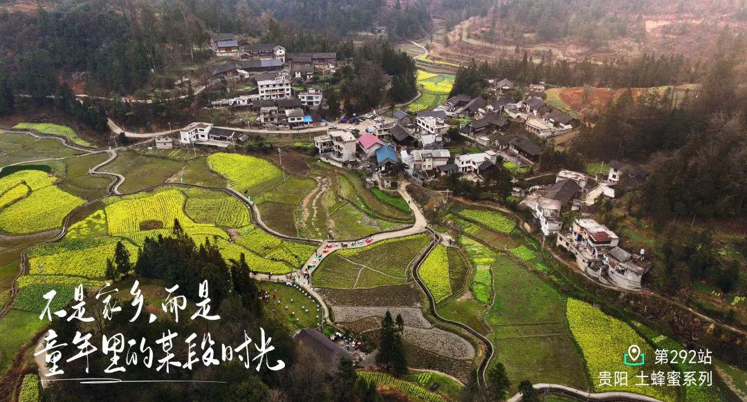 远方好物-溯源冻干鹿血粉.jpg