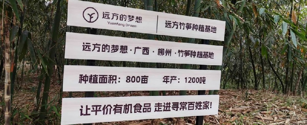 溯源柳州螺蛳粉 - 第1张 溯源柳州螺蛳粉 - 第1张