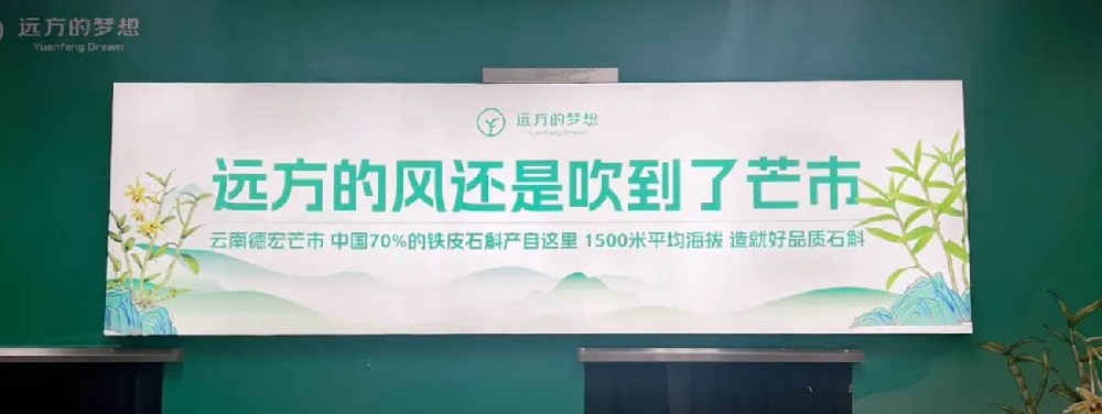 溯源石斛 - 第1张 溯源石斛 - 第1张