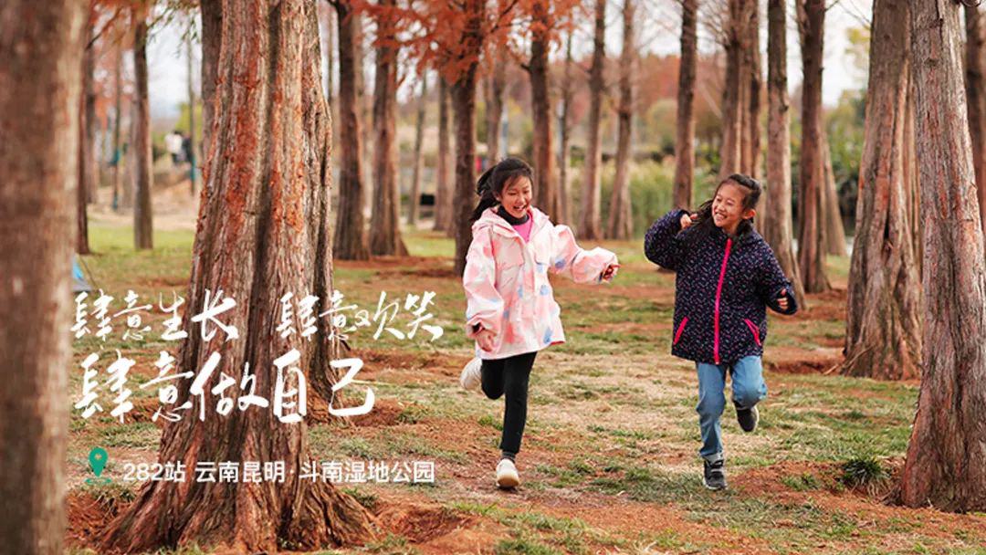 远方好物-高原有机蔬菜.jpg