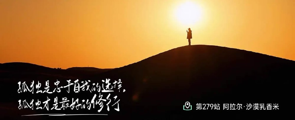 远方订制版驼奶 - 第1张 远方订制版驼奶 - 第1张