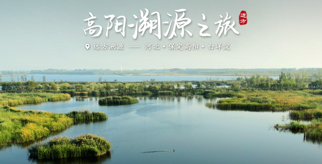 1664677830390623.png 微信图片_20221002103024.png
