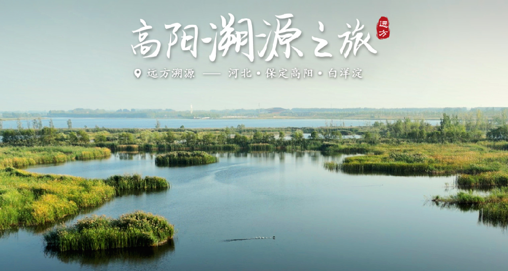 你可以白手起家但不可以赤手空拳 - 第1张 你可以白手起家但不可以赤手空拳 - 第1张