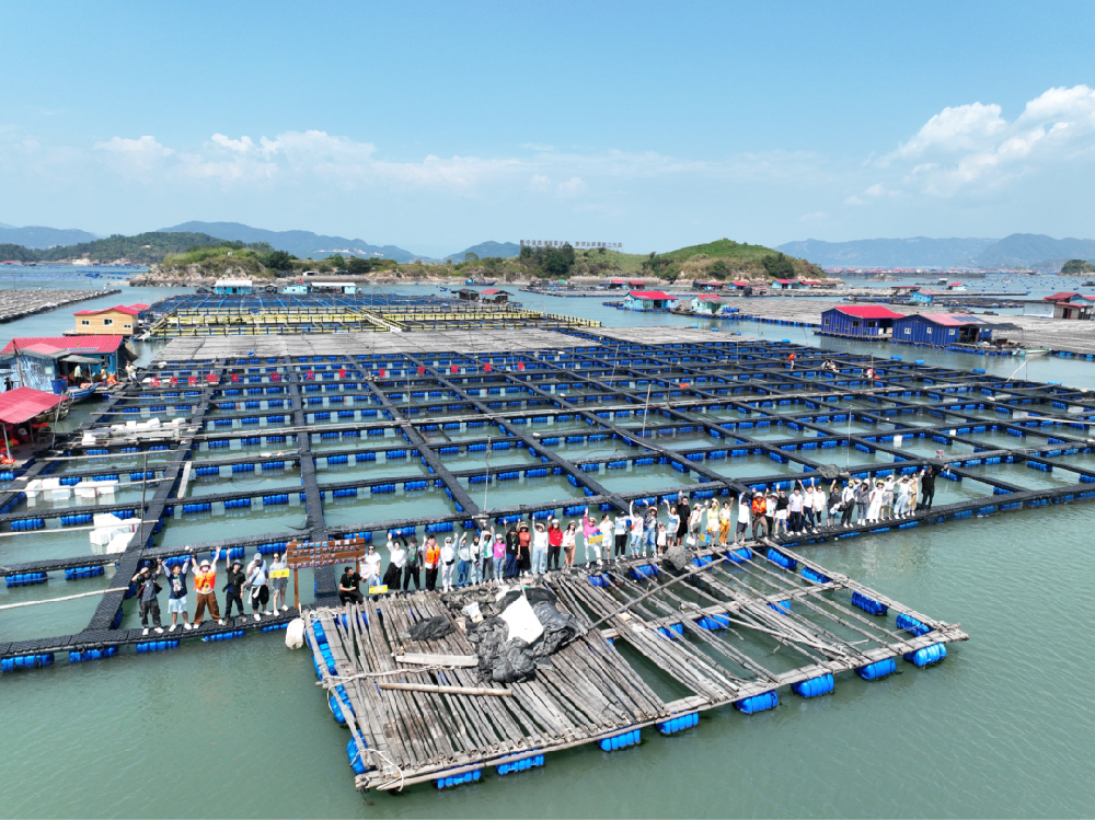 有机大黄鱼基地溯源 - 第1张 有机大黄鱼基地溯源 - 第1张