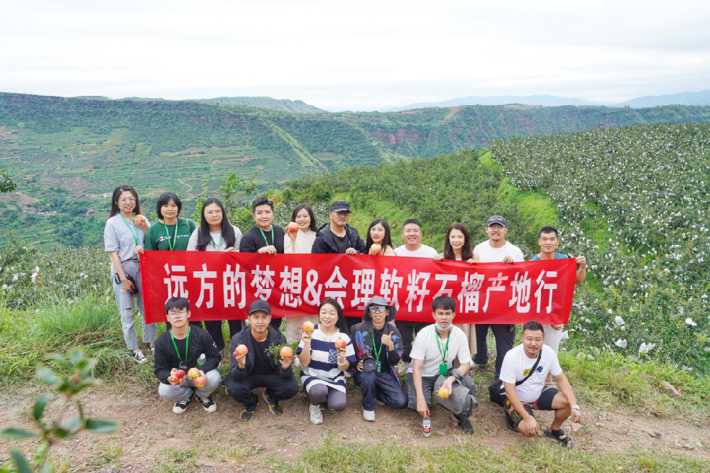 也许我们是傻子—-何主任 - 第1张