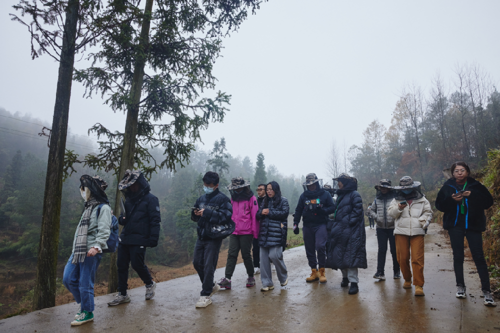 拼免疫力的时代，我们可以做什么？ - 第1张