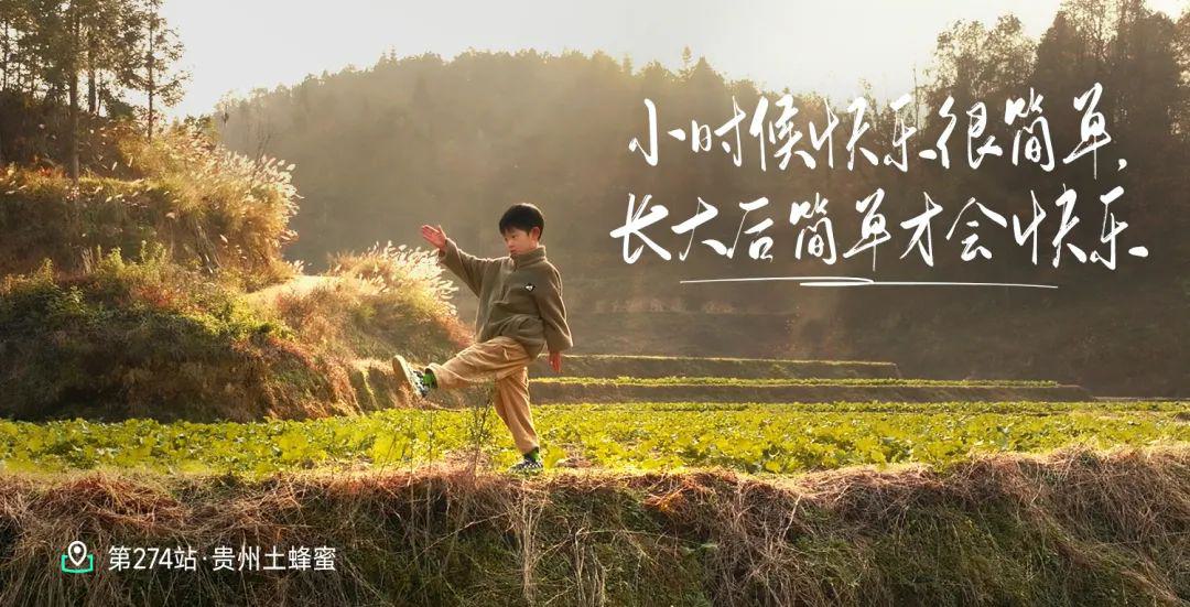 远方好物冻干鹿血.jpg