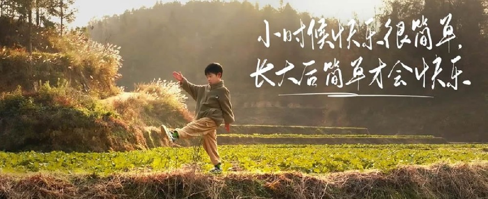 为什么要分享鹿胶 - 第1张 为什么要分享鹿胶 - 第1张