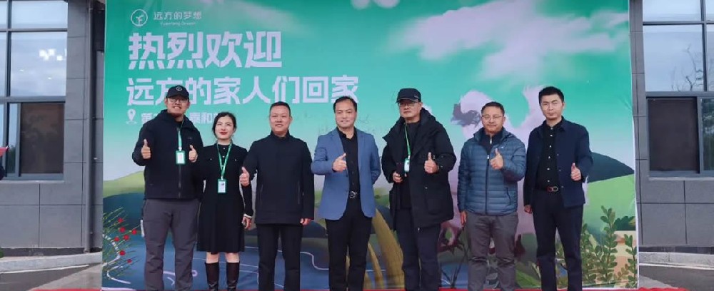 溯源泰和乌鸡 - 第1张