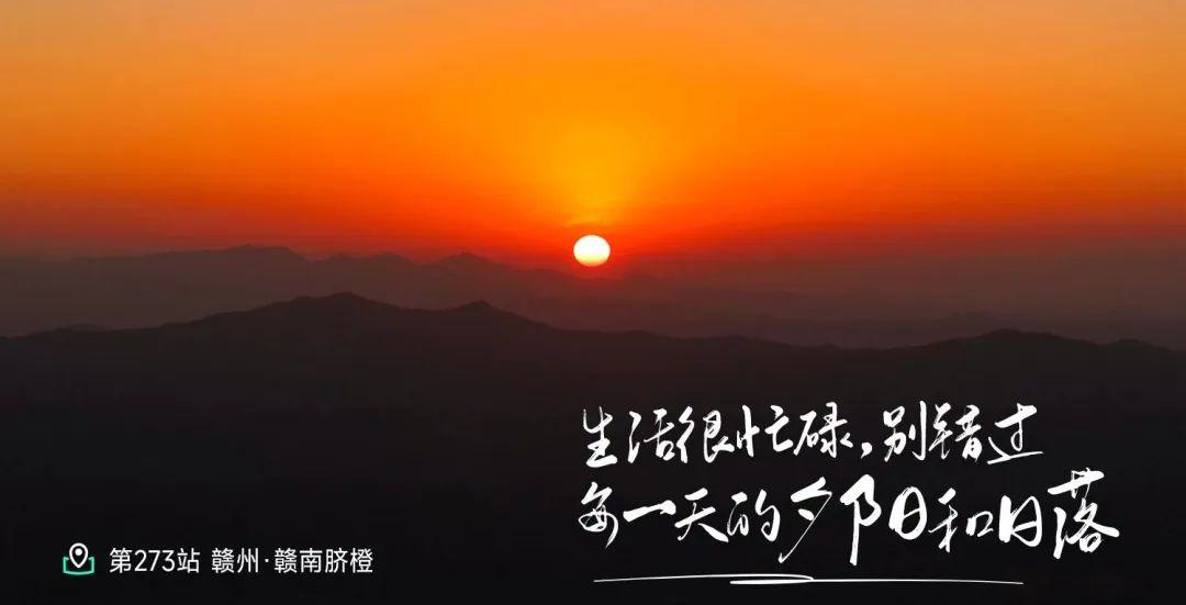 远方好物溯源赣南脐橙.jpg