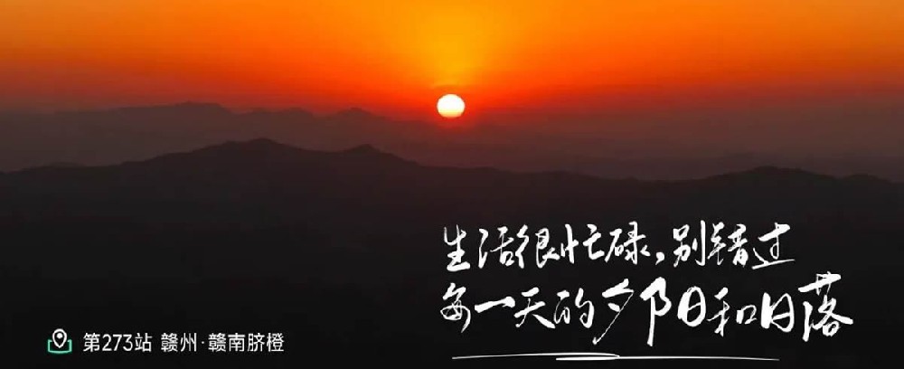 溯源赣南脐橙 - 第1张