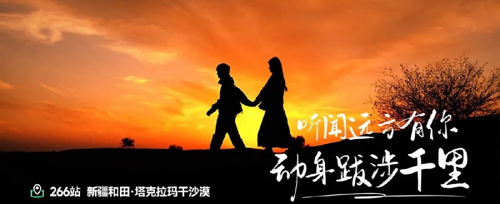 也许是你吃过最好吃的红枣 - 第1张