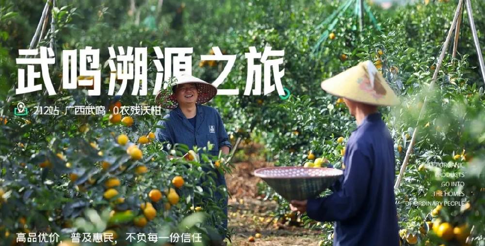 溯源石斛酒 - 第2张 溯源石斛酒 - 第2张