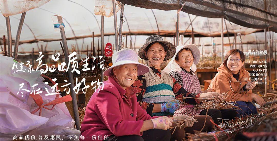 溯源石斛原浆 - 第2张 溯源石斛原浆 - 第2张