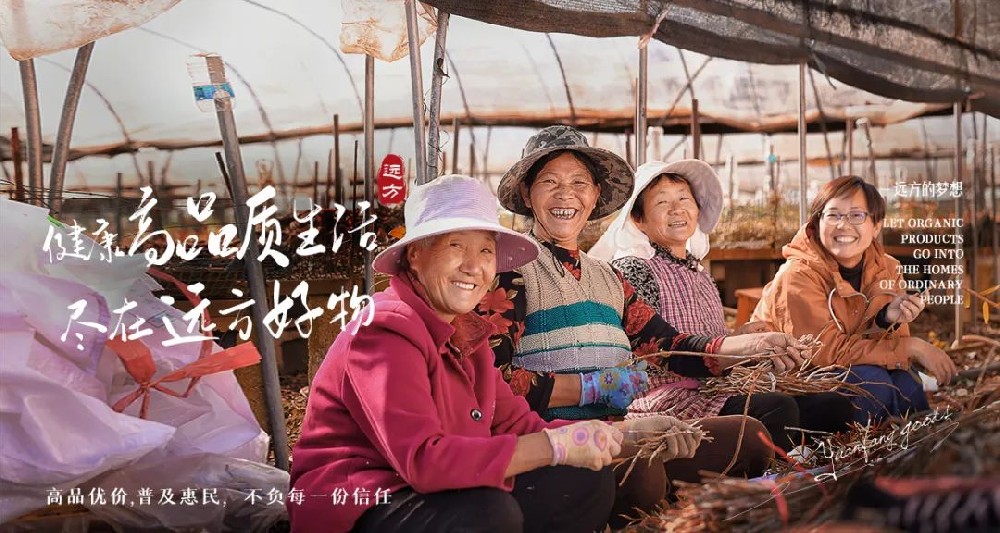 溯源石斛原浆 - 第1张 溯源石斛原浆 - 第1张