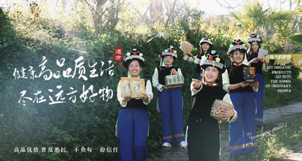 溯源玫瑰 - 第1张 溯源玫瑰 - 第1张