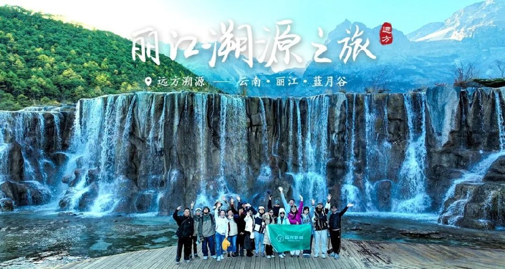 溯源苦蜂蜜 - 第1张 溯源苦蜂蜜 - 第1张