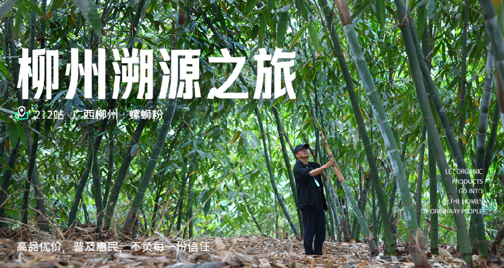 0防腐剂的螺蛳粉的前后今生 - 第1张 0防腐剂的螺蛳粉的前后今生 - 第1张
