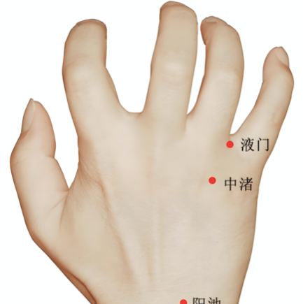 三伏天记得要扶阳,每天5分钟=升阳1小时,阳气补满了,少生寒湿浊 - 第3张 三伏天记得要扶阳,每天5分钟=升阳1小时,阳气补满了,少生寒湿浊 - 第3张