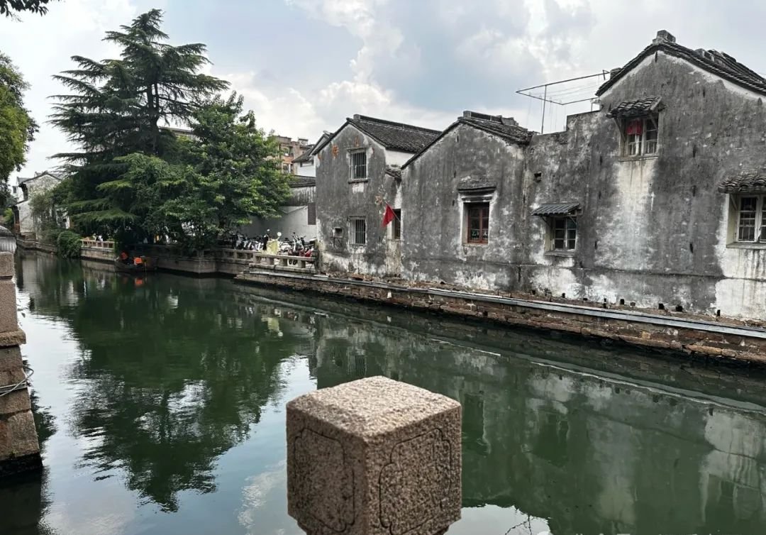 这个纯阳之草每天煮水当茶喝,脾胃暖了,阳气补上了,现在喝正当时 - 第2张 这个纯阳之草每天煮水当茶喝,脾胃暖了,阳气补上了,现在喝正当时 - 第2张